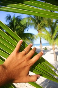 Paradise Discovered Discover how to purchase Mexico real estate with the Mexico real estate guide